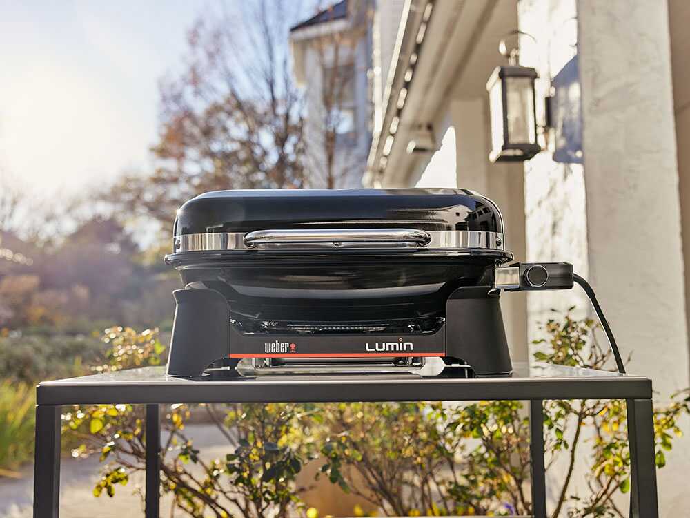 Barbacoa eléctrica portátil – Parrilla 49 x 33 cm – Weber Lumin Black 1502045